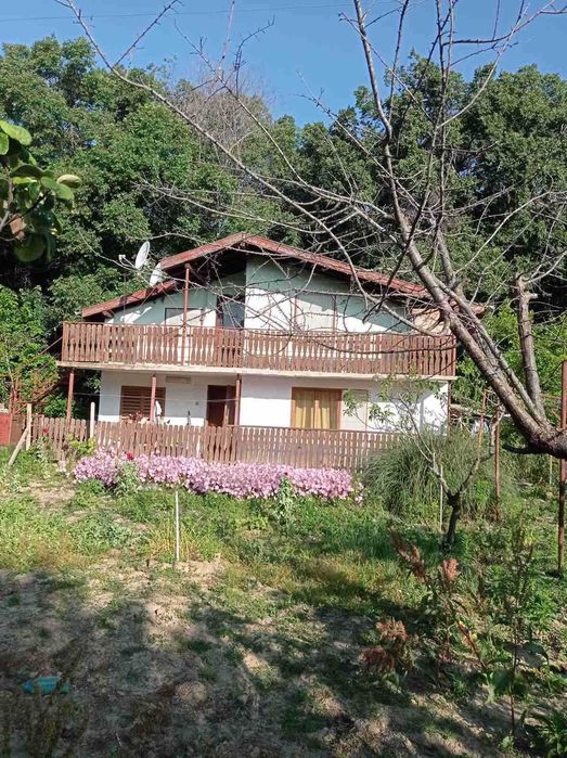 Вила с дворно място