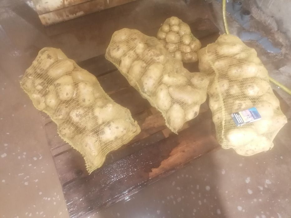 картофи за пълнене