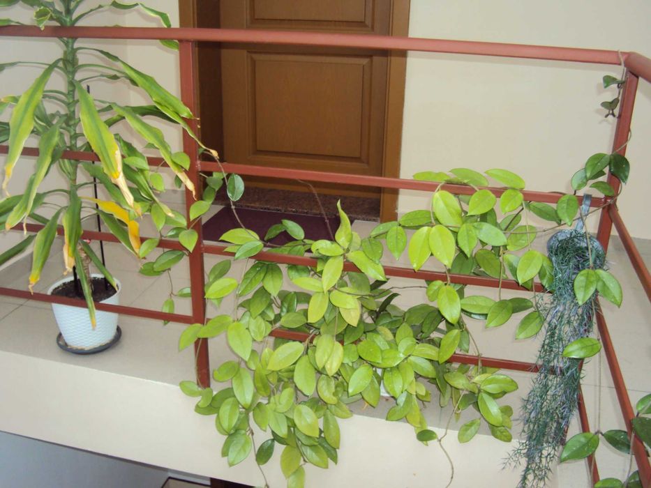 Sony Cyber-shot DSC-W180 10.1MPx