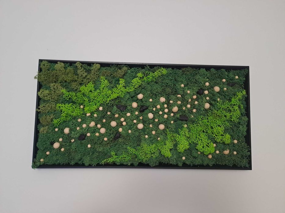 Tablouri cu licheni naturali stabilizati