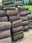 Gazon rulou natural de calitate
