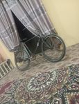 velosabet sotiladi