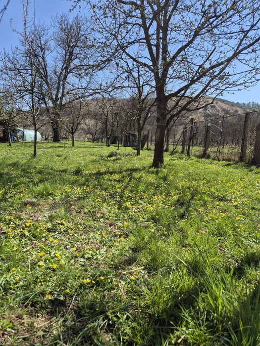Teren intravilan de vânzare Luna de Sus