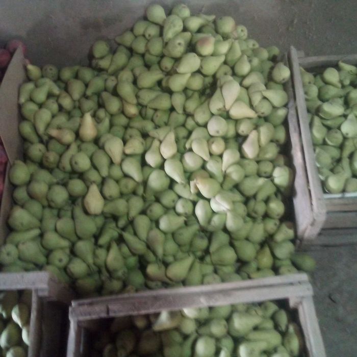 Нок сотамиз ширин