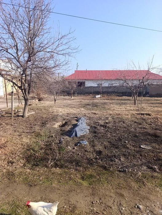 Жума шахрида 10 сотихли ховли сотилади