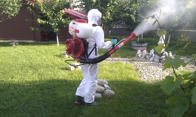 Dezinsecție Dezinfecție și Deratizare