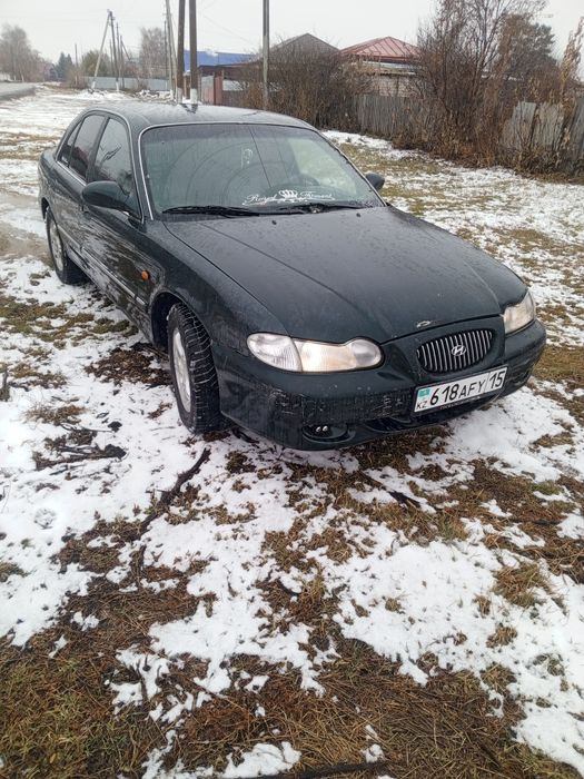 Продам сонату рейсталенг