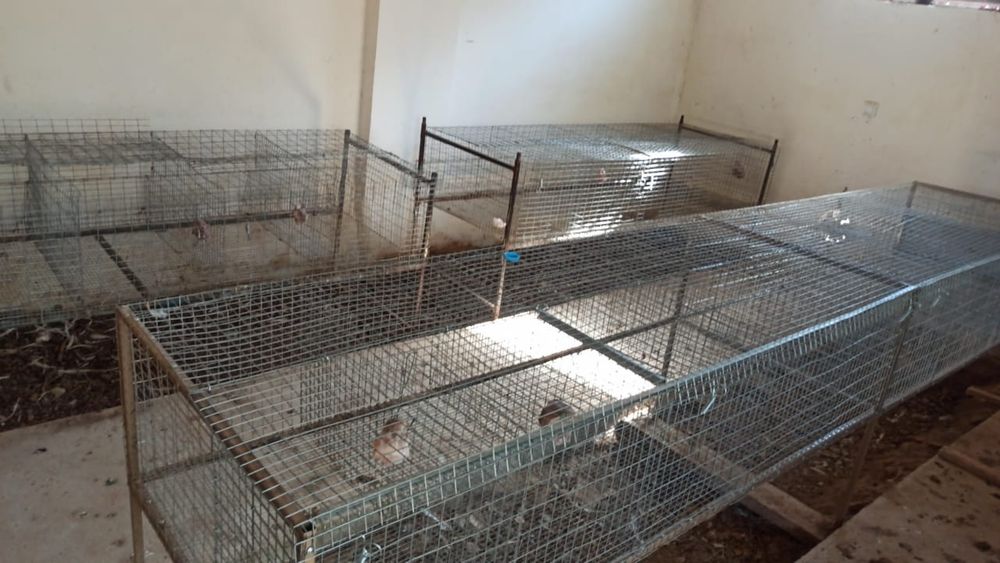 Клетки для кроликов, курей и тд