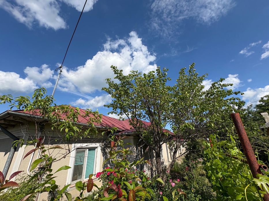 Casa de vanzare Alexandria