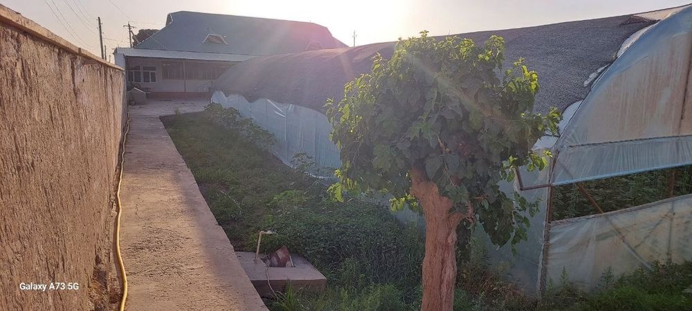 Уй сотилади Термиз аерапорт томонда