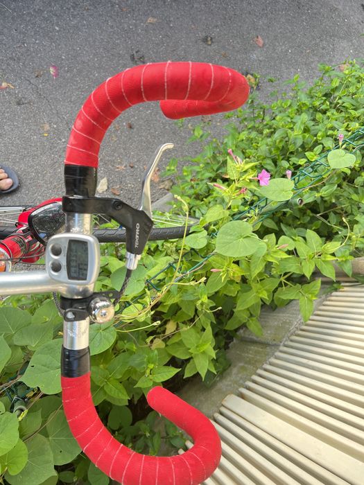 Fixie dintr o cursiera Winora