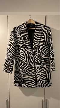 Palton Zara model zebra