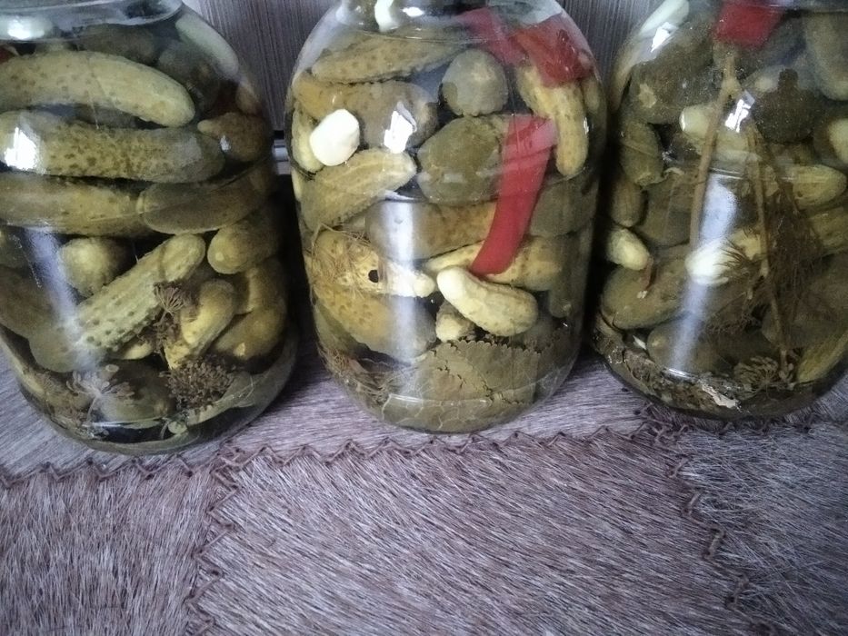 Соленые маринованные огурчики