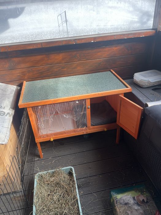 Cusca animale iepure