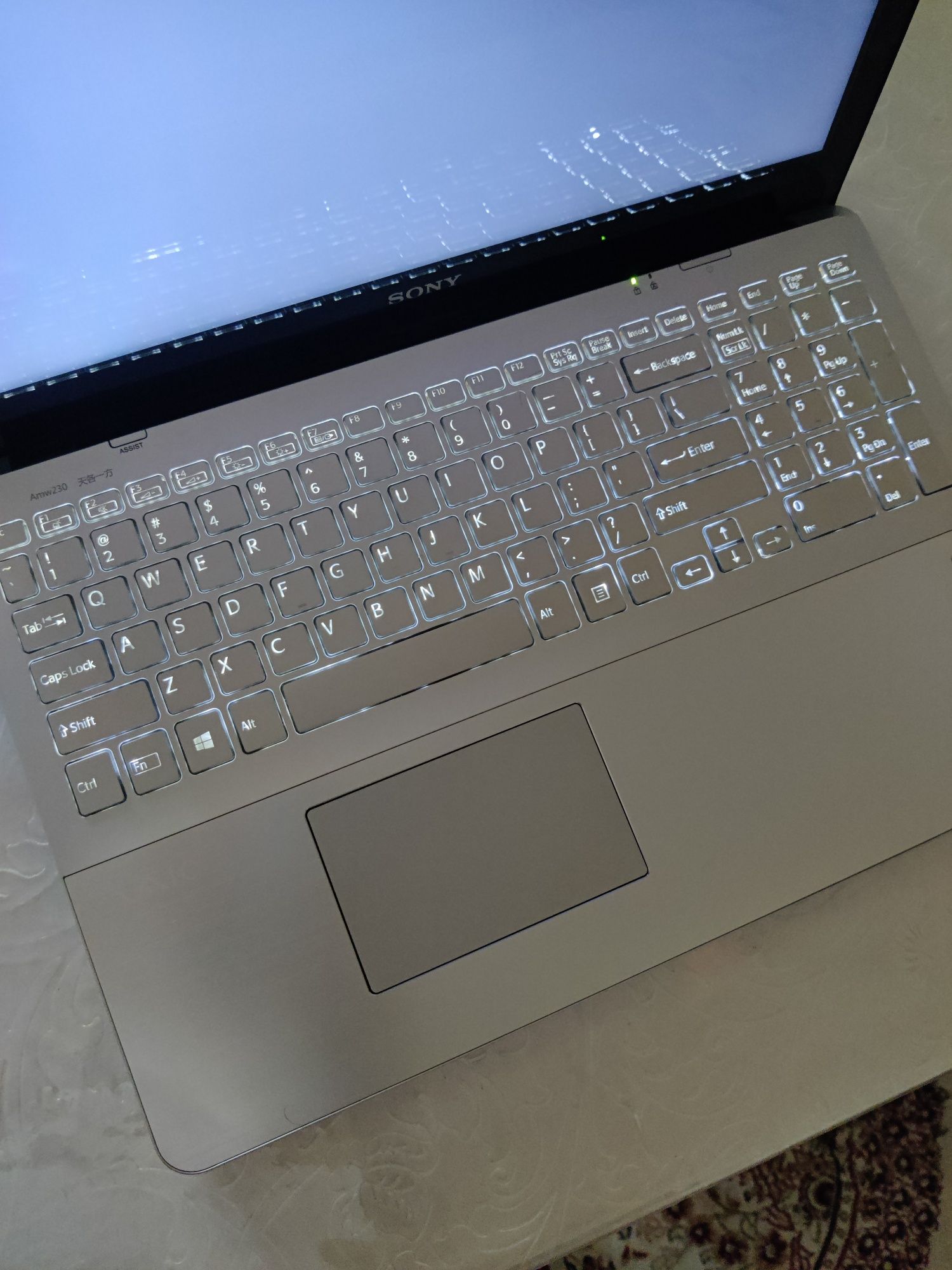 Sony vaio sensorniy ekran