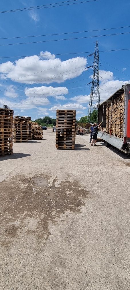 Vând paleti euro și NON euro, atipici