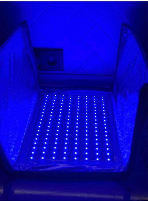 БЕСПЛАТНАЯ доставка/1000тг:Аренда ФОТОЛАМПЫ от ЖЕЛТУХИ/лампа/прокат