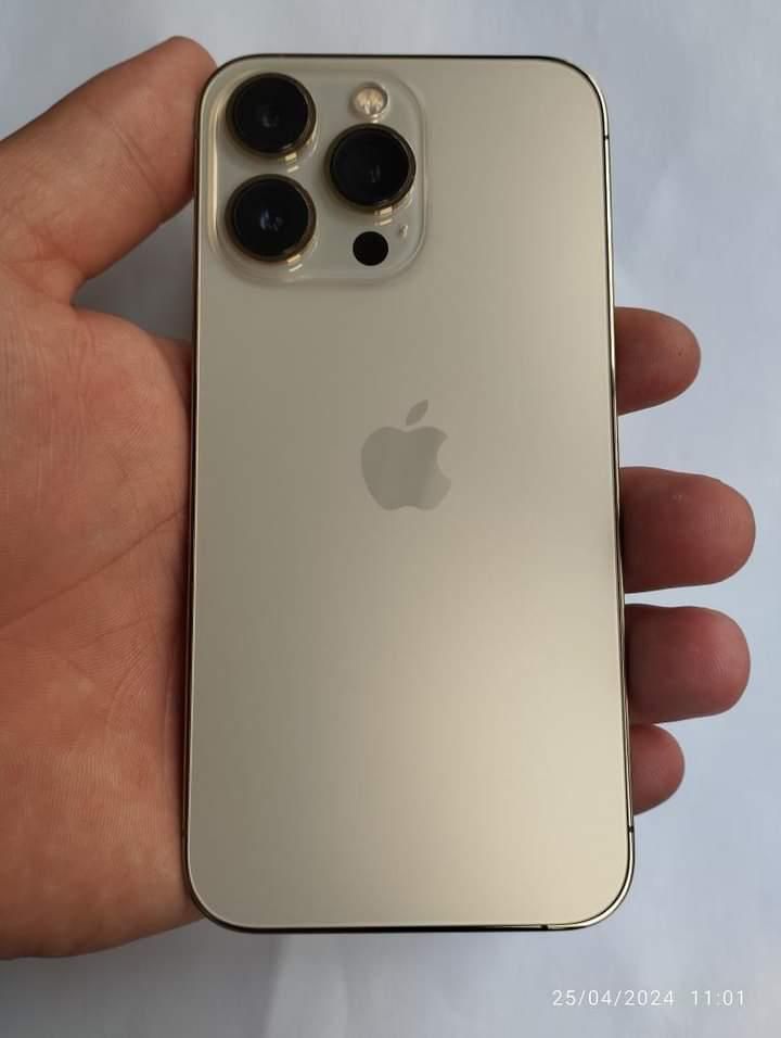 iPhone 13 Pro karobka dokument bor