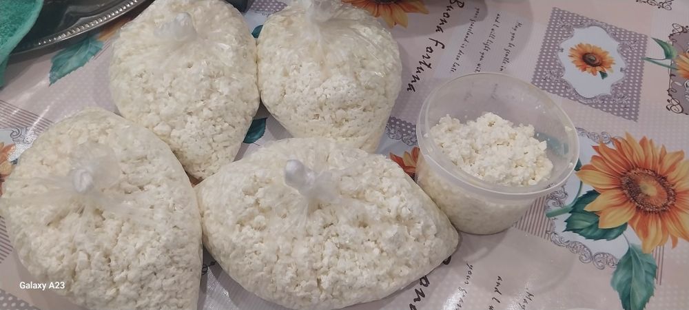 Продам творог свежий
