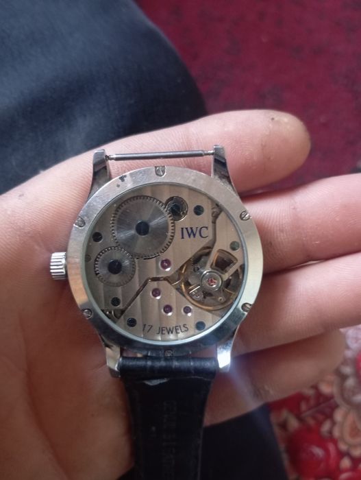 IWC swiss tushunganlar uchun