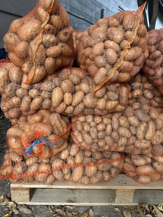 Cartofi pentru animale