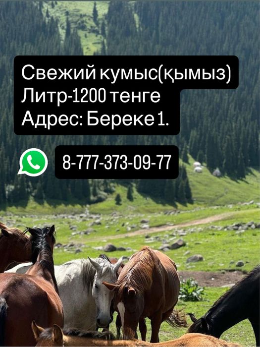 Кумыс натуральный,свежий (кымыз)