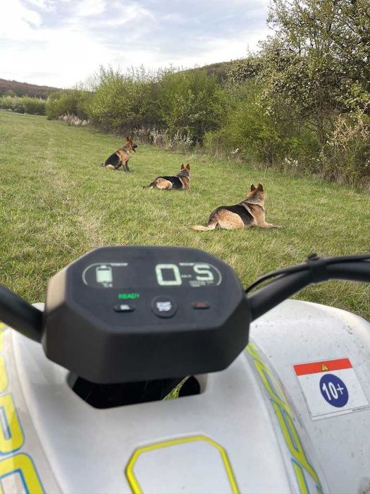 ATV Electric CFMoto EV110