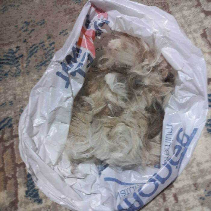 Шерсть кошачья на продажу