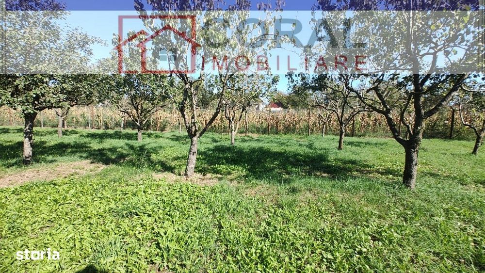 De vanzare teren, zona Soimus