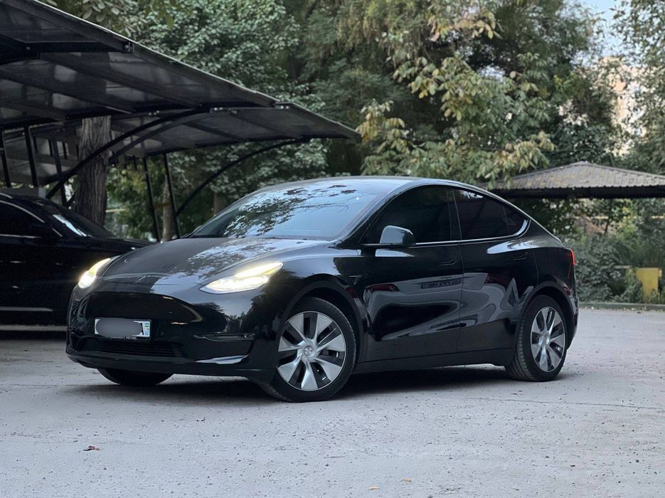 Tesla Model Y Dual Motor