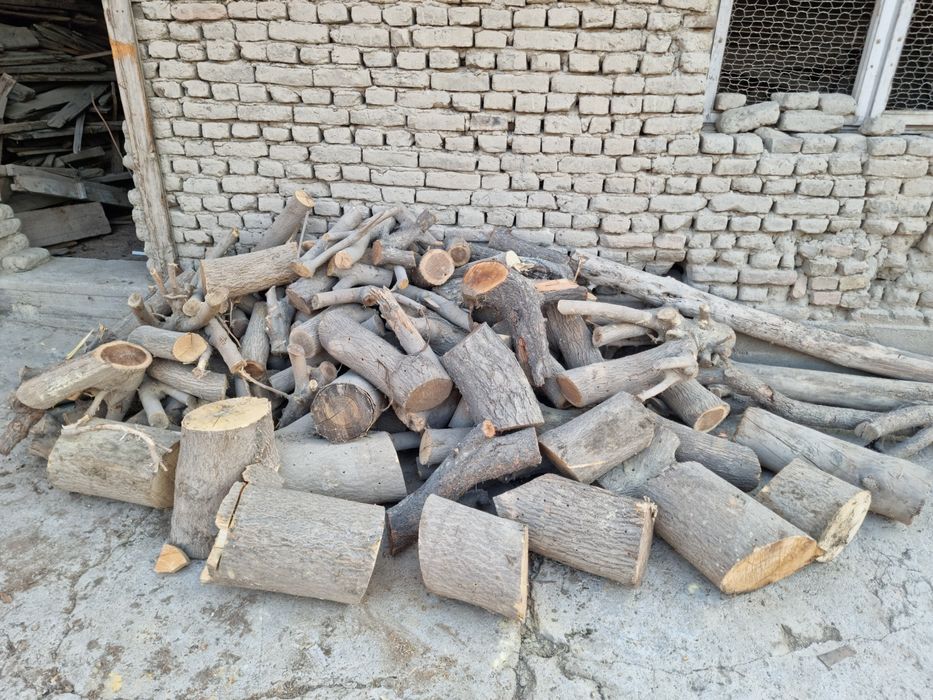 Утин Сотилади Кунда Шохлар