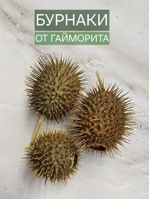 Бурнаки свежие,самое эффективное средство от Гайморита мұрынды емдиды