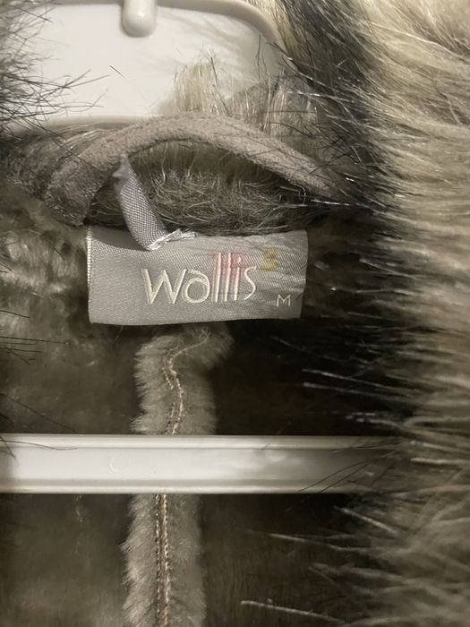 Blanā superbā Wallis