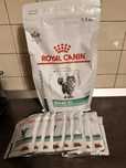 Mancare pisici Royal Canin Diabetic bobite si plicuri