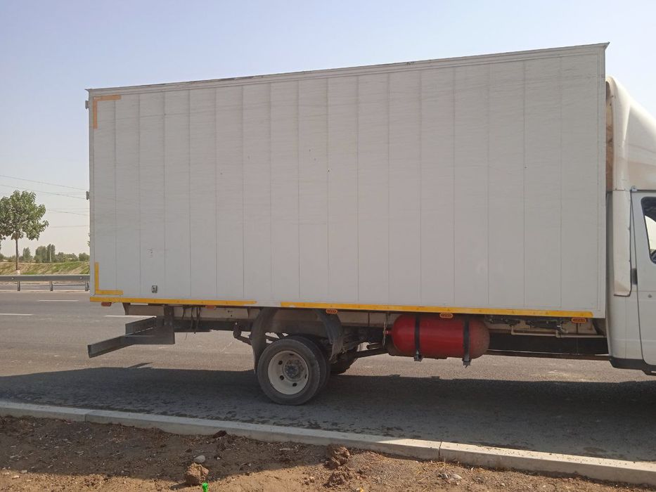 Gazel bort sotiladi narhi kelshamiz