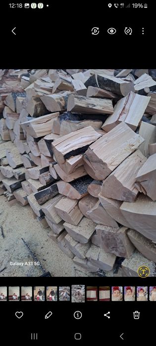Vând lemne de foc de fag tăiate gata