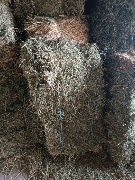 Продавам малки бали люцерна супер качество