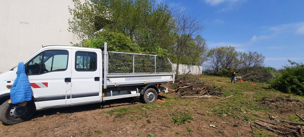 Curățare cosire defrisare terenuri iarba -arbusti-copaci-ambrozie