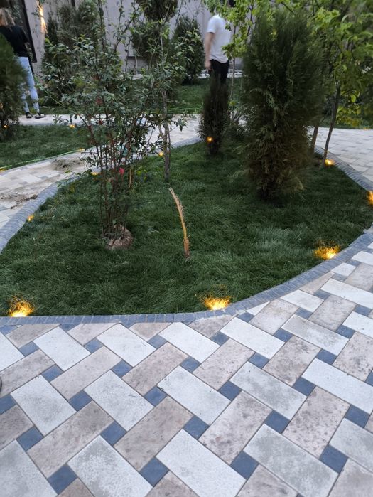 Газон екиш  таййор ва уруґдан