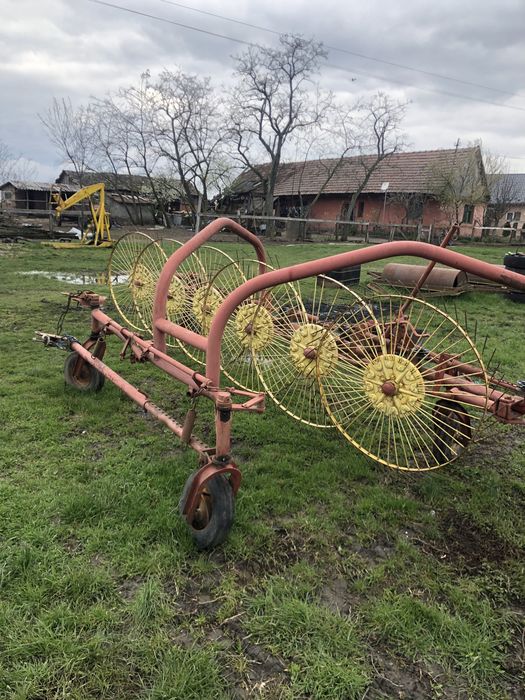 Grebla raza soarelui