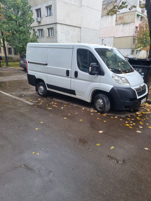 Duba de marfa. Buna ptr afacere