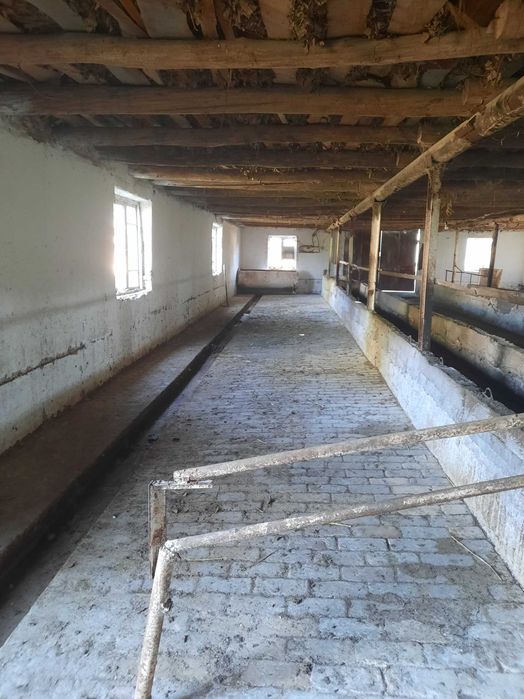 Ферма сотилади келишилган нархда