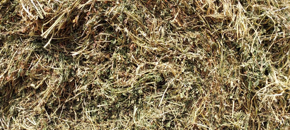 Baloți de lucernă, fân rotund,dreptunghiular!