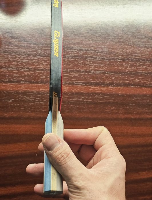 Paleta ideală pentru a învăța tenisdemasă/pingpong Andro/Butterfly