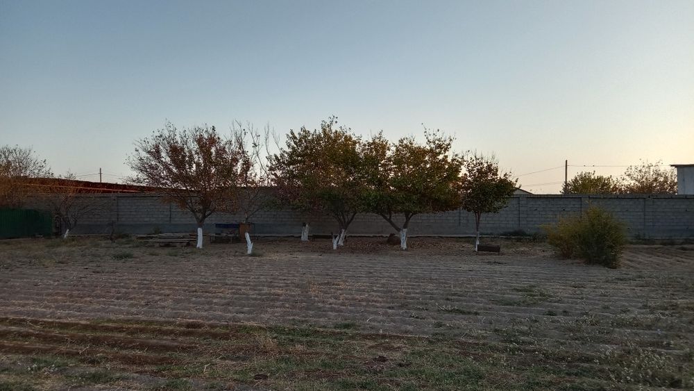 Termiz tumanida yer sotiladi kelishamiz