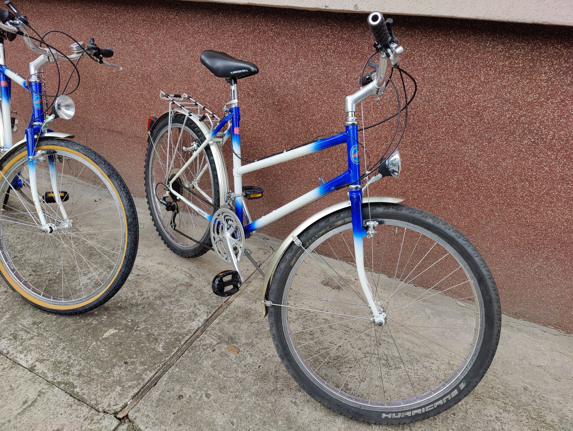 2 biciclete Elvetiene Standard Jaguar