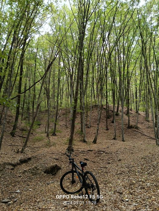 Vând bicicleta Carpat in stare foarte buna.