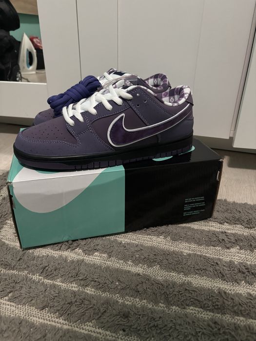 Dunk low SB Purple Lobster