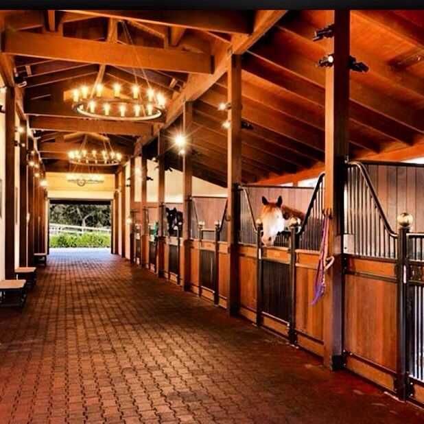 Продаю шикарную ферму
Которому нет аналогов в Узбекистане
Туйтепа