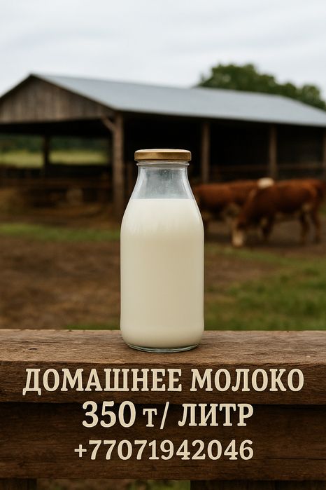 Продам домашнее молоко сметана творог